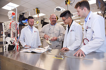 Faculty teaching med students in anatomy lab