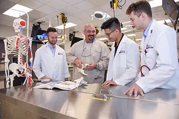 Faculty teaching med students in anatomy lab