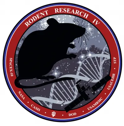 Rodent Research IV
