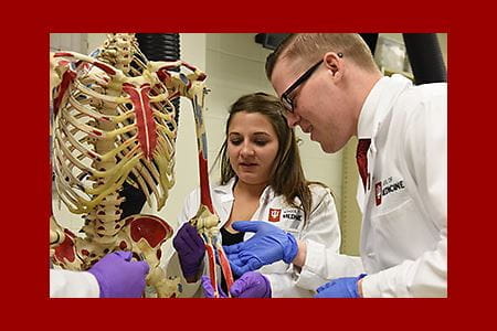 Anatomy-Education.jpg Anatomy-Education.jpg