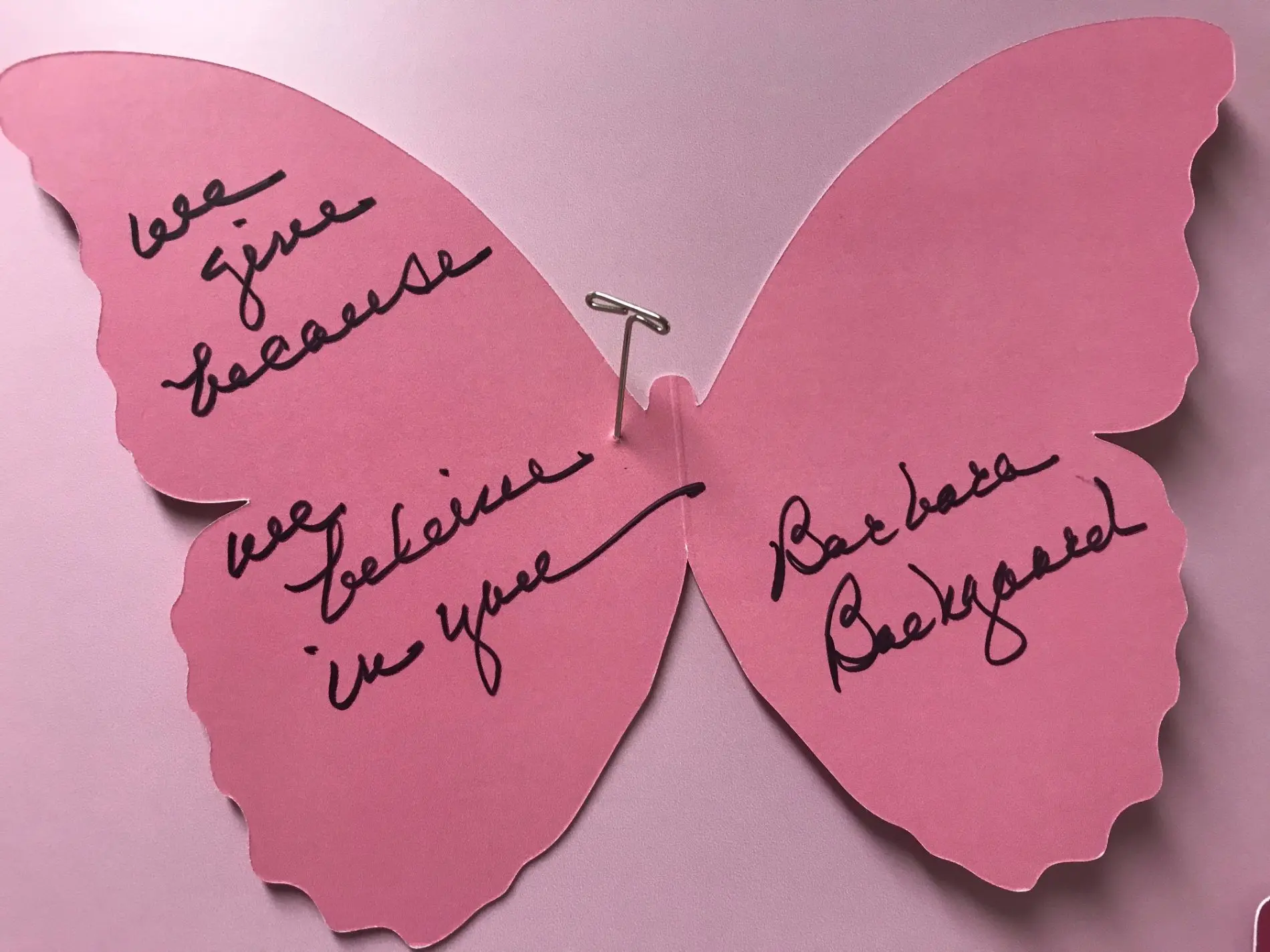 Barbarabutterfly