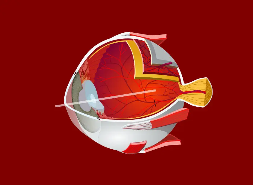 Eye-diagram