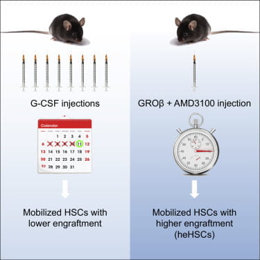 Graphical Abstract Sized