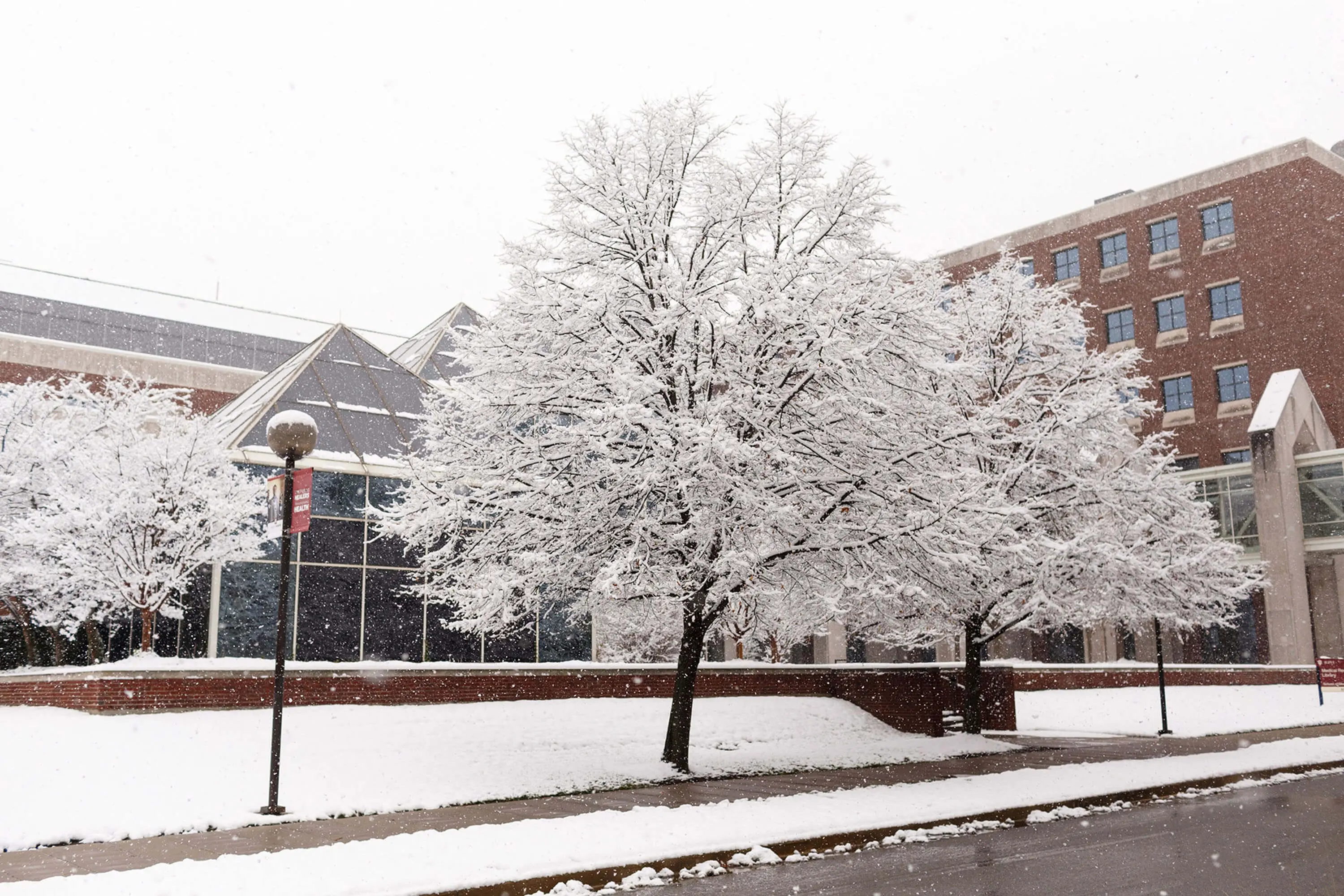 IUSM library winter