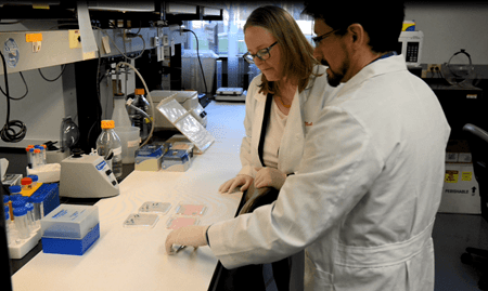 Melissa Kacena works with a postdoc in her lab at IU School of Medicine. Kacena Lab