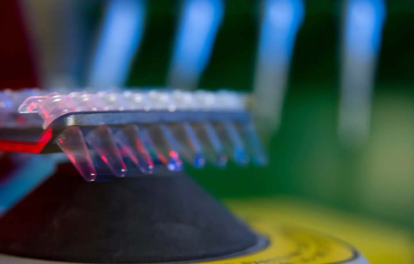 Lab-Details-19.jpg
