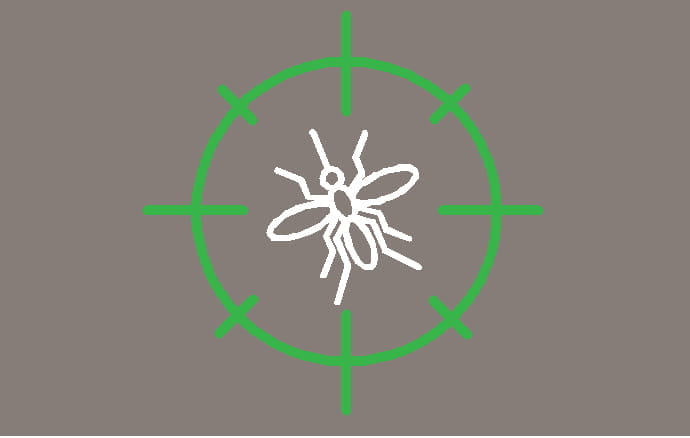 Path of yeast resistance