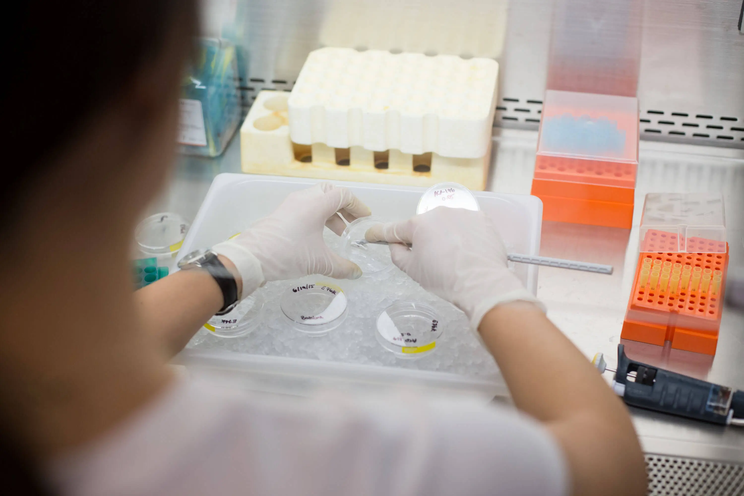 20150626_IUSM_Lab_Stock_R4_LK-179