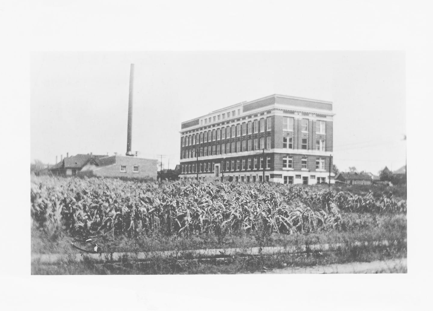 Iu School Of Medicine 1920 2.jpg Iu School Of Medicine 1920 2.jpg