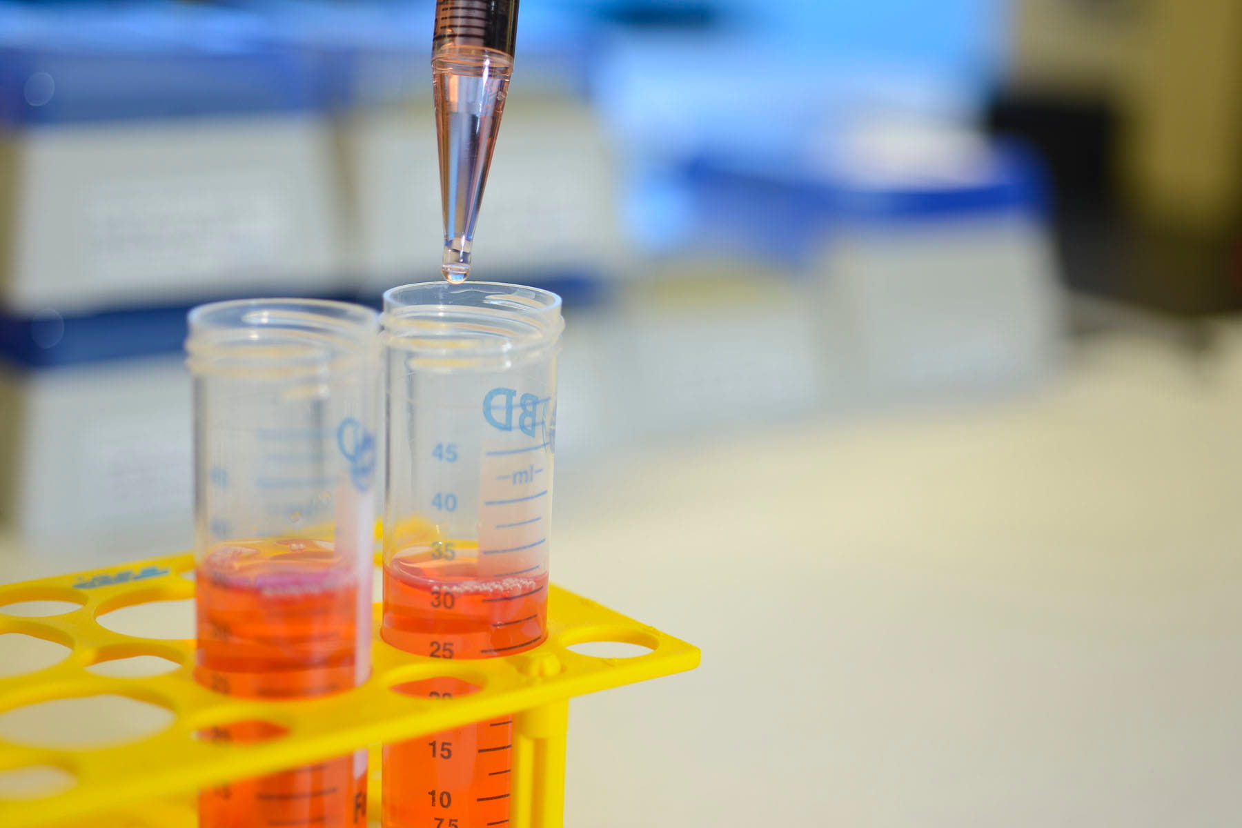 Lab Details_06 Lab Details_06