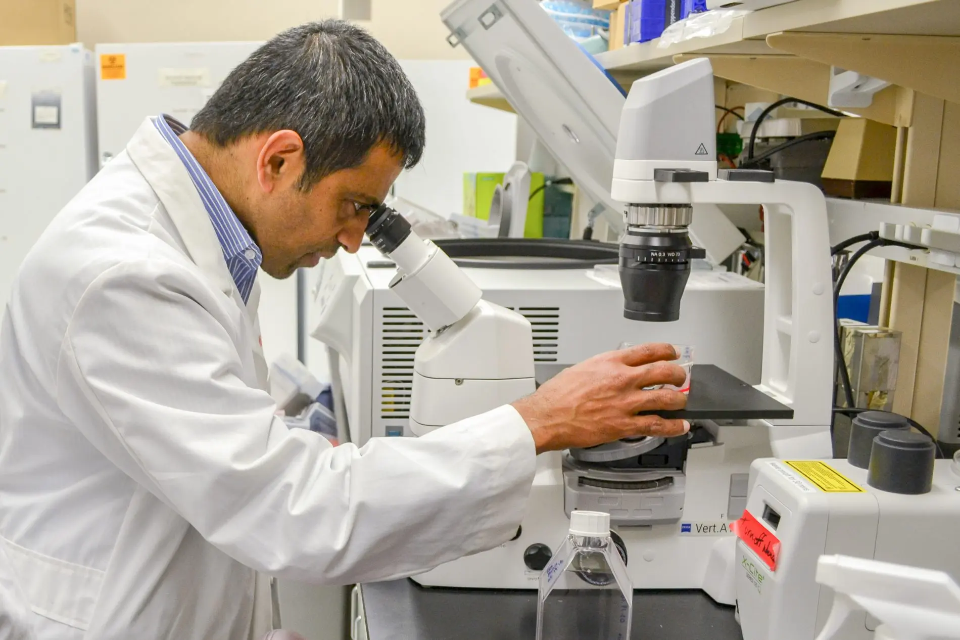 Mirmira_Lab-2