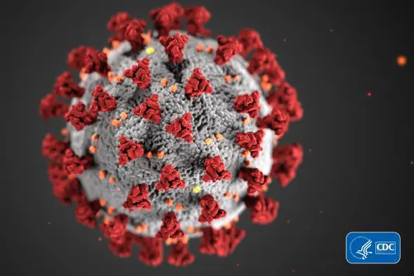 coronavirus