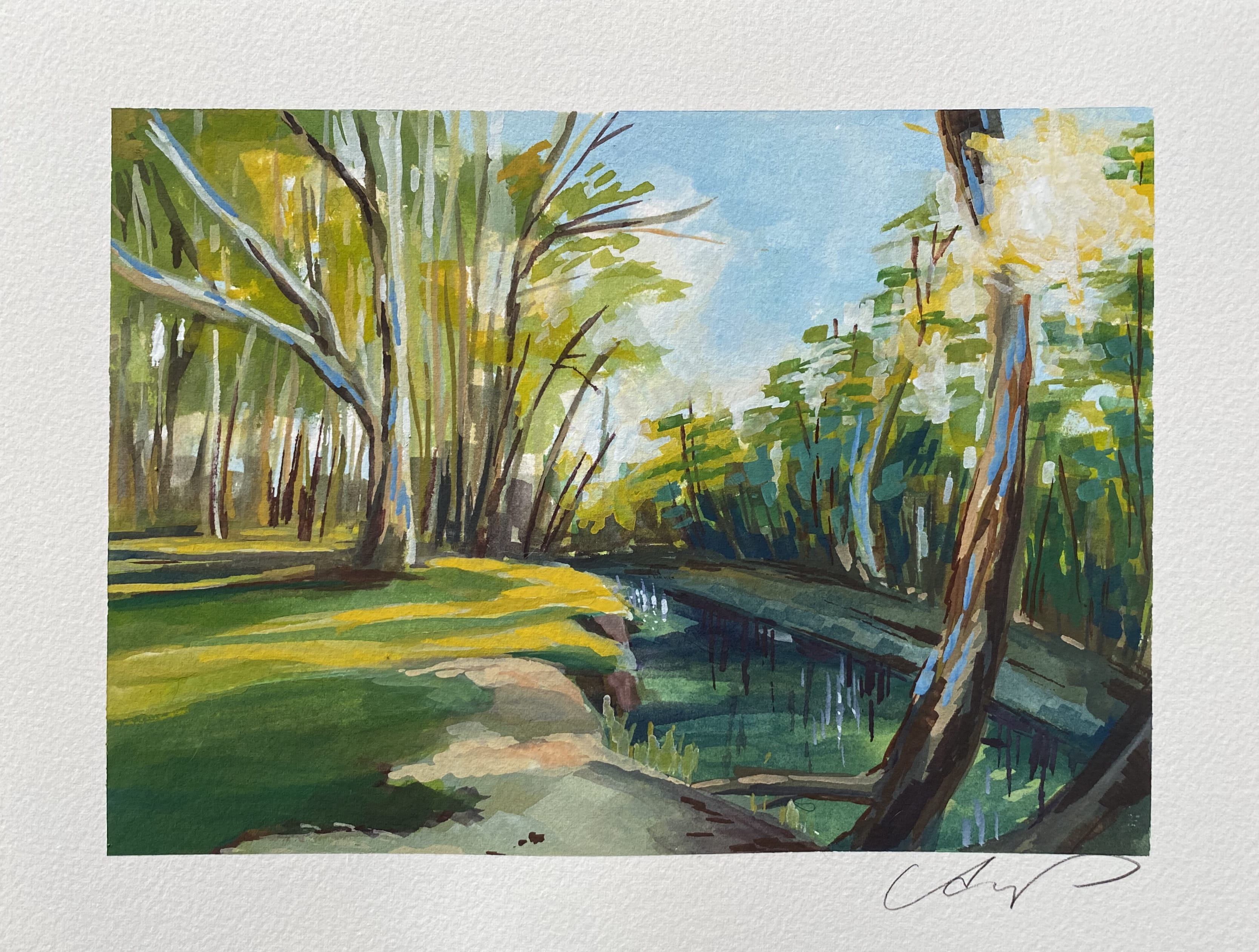 New South Wales by Angela DeCamp