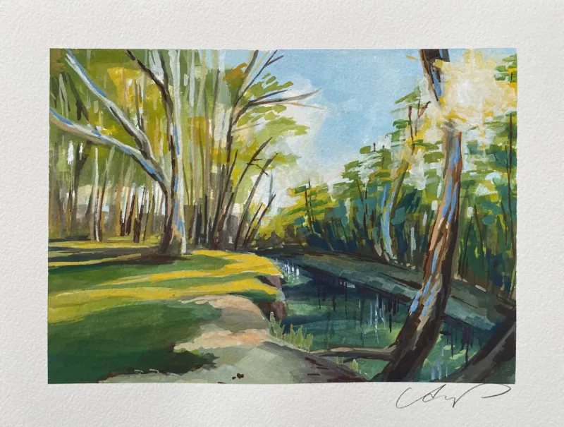 New South Wales by Angela DeCamp