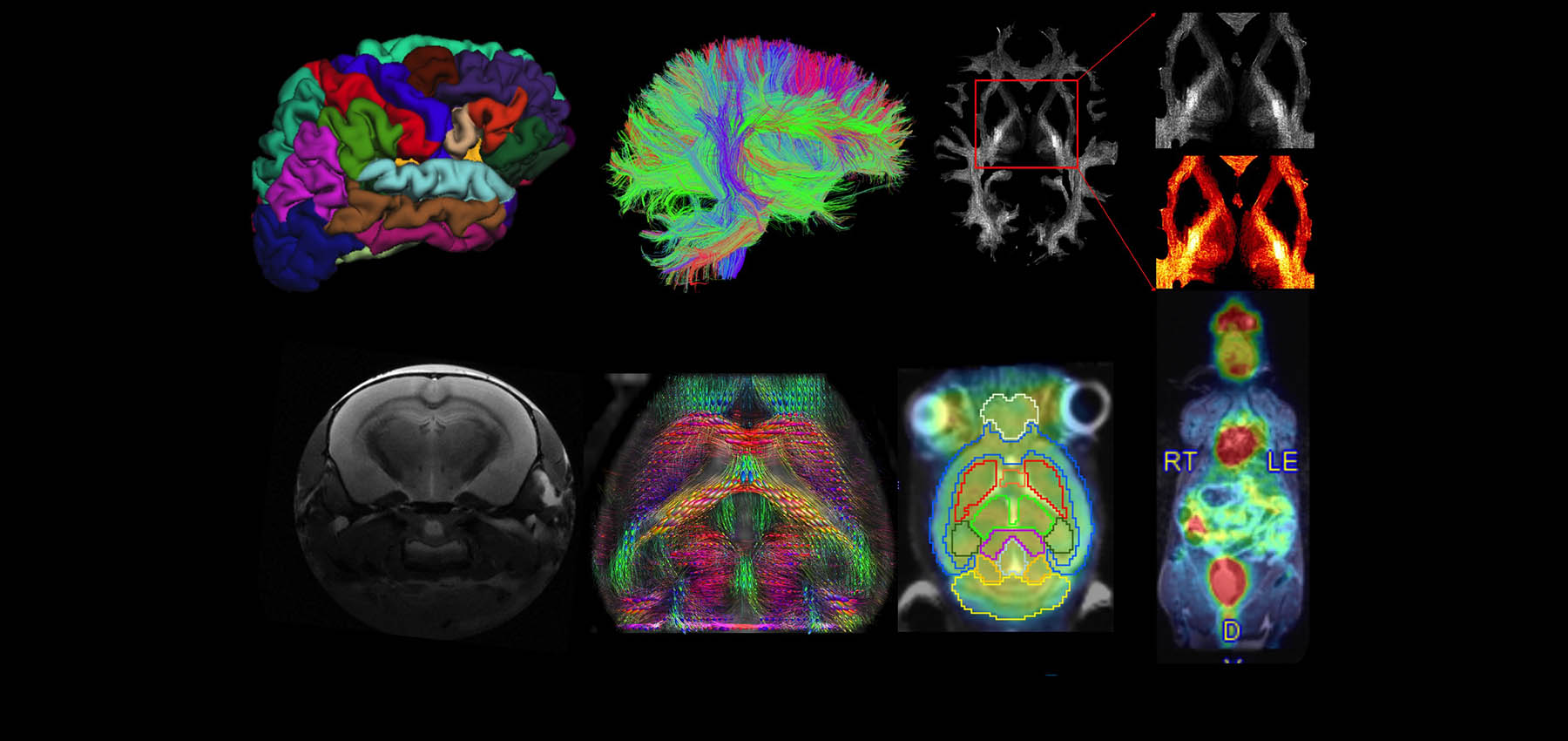 Imaging Core | Radiology and Imaging Sciences Research | IU School of ...