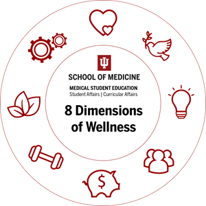 Wellness Wheel With Icons Final 1024×1024 Wellness Wheel With Icons Final 1024×1024