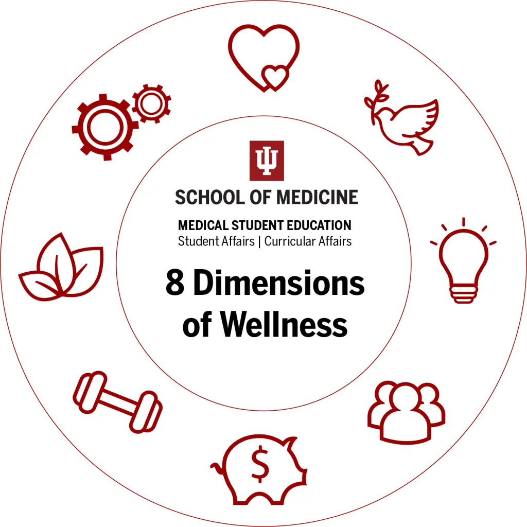 Wellness Wheel With Icons Final 1024×1024