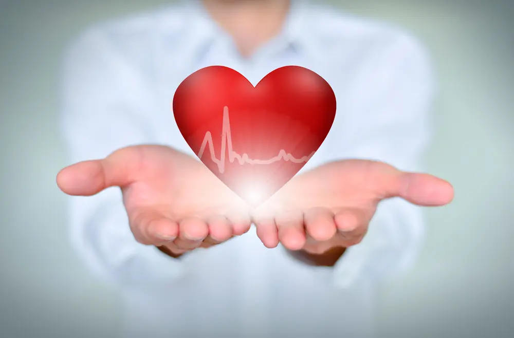 Hands holding heart