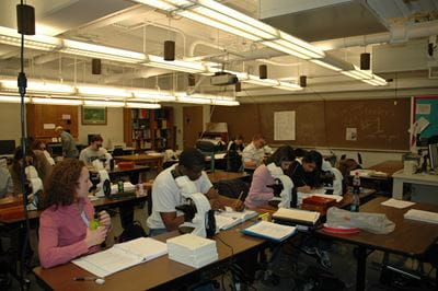 Students in the sub-basement of Lynn Hall
