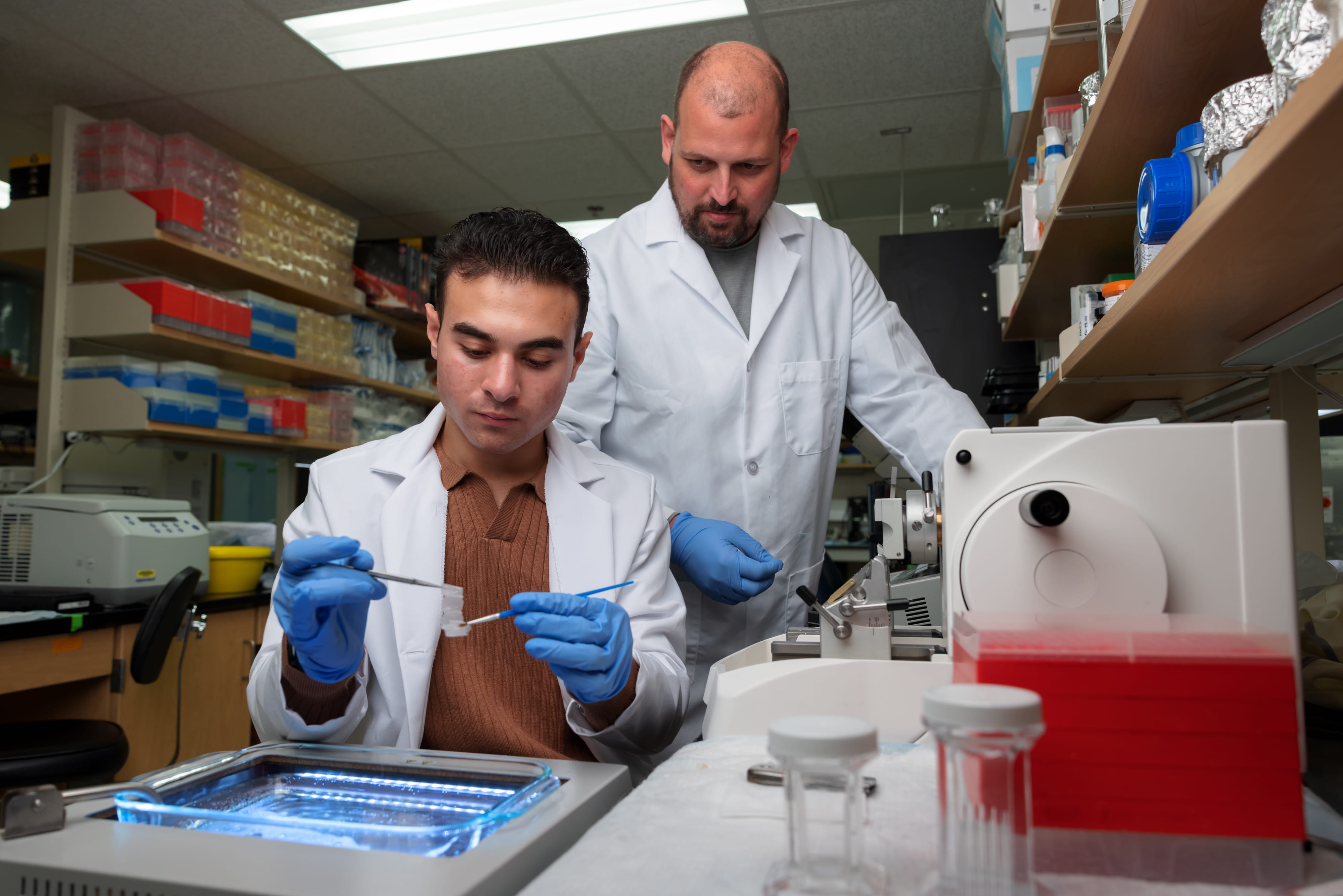 Faculty Member and Student in lab