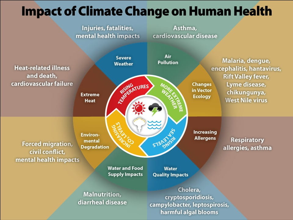 graphic shows impacts of climate change on human health. Sections include severe weather, air pollution, changes in vector ecology, increasing allergens, water quality impacts, water and food supply impacts, environmental degradation, and extreme heat.