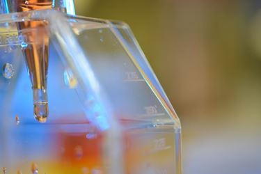 pipette with liquid