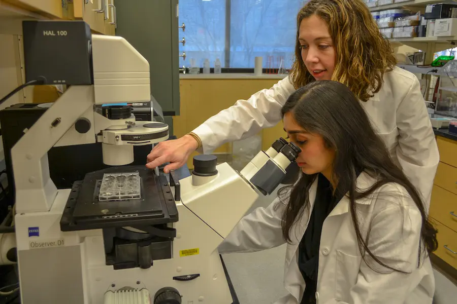 Diabetes researchers Emily Sims, MD, and Anisha Gohil, DO, in the lab