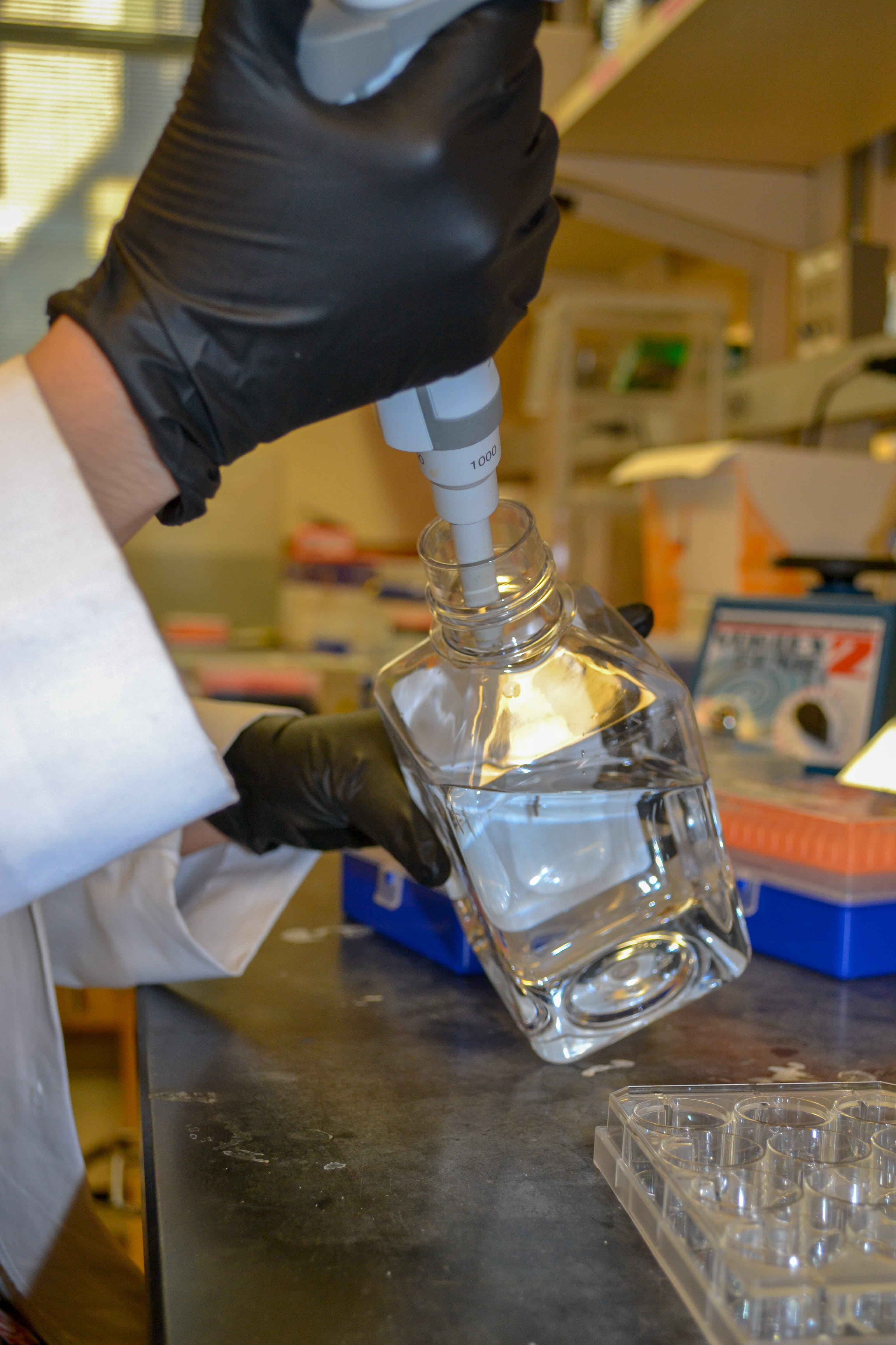 Pediatric endocrinology lab image