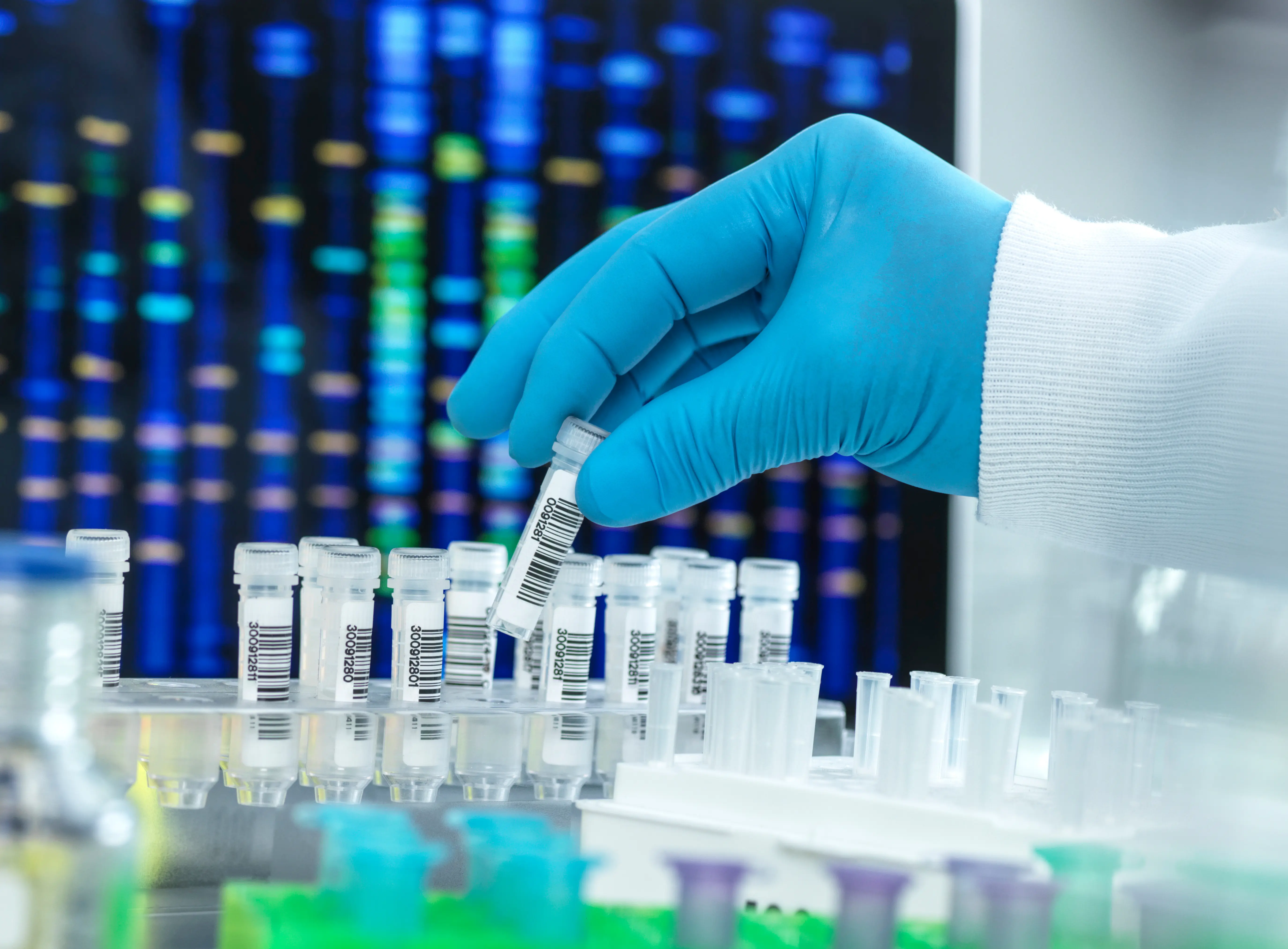 hand in blue glove holding sample for genetic testing in lab