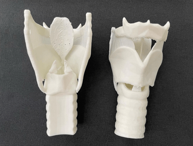 Image of the 3D-printed larynx that was given to each student who attended the workshop. (Image originally posted by students to their program's Instagram page @iumsaprogram) Image of a 3D-printed larynx that was given to each student who attended this workshop. (Image originally posted by students to their program's Instagram page @iumsaprogram)