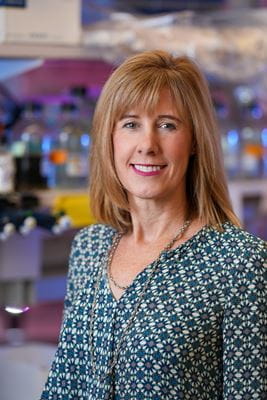Stephanie Ware, MD, PhD