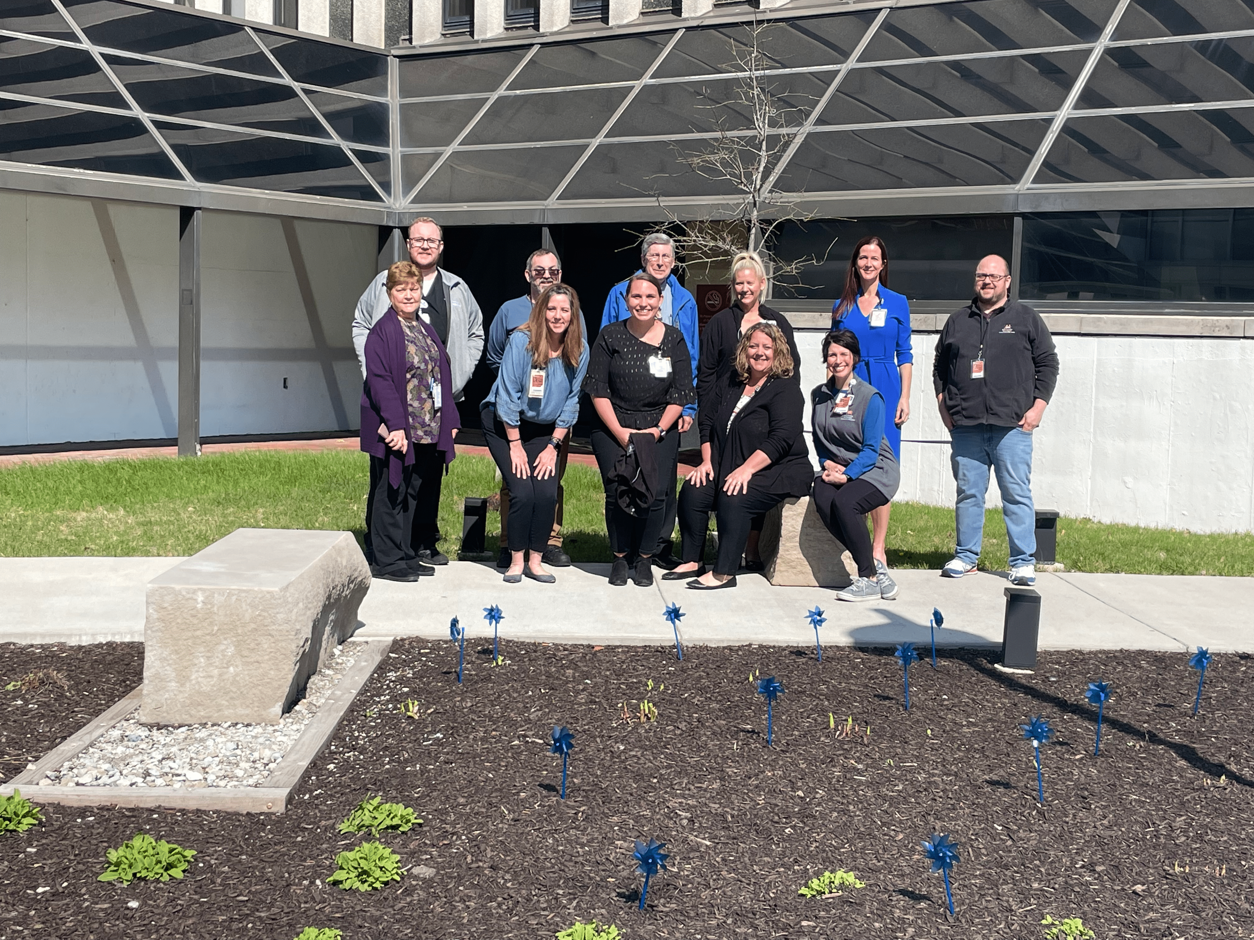 division of child protection pinwheel garden