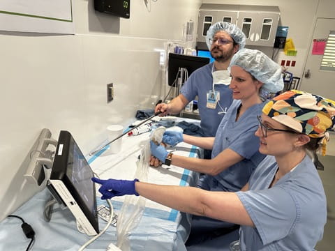 Brook Cahill, MD working alongside colleagues