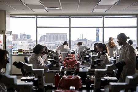 Scientists in lab coats sit at microscopes