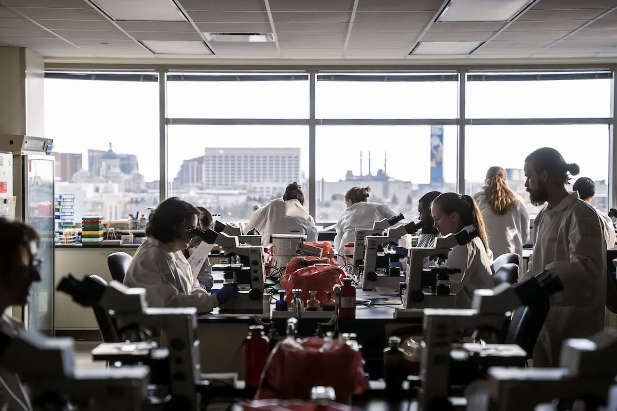 Scientists in lab coats sit at microscopes