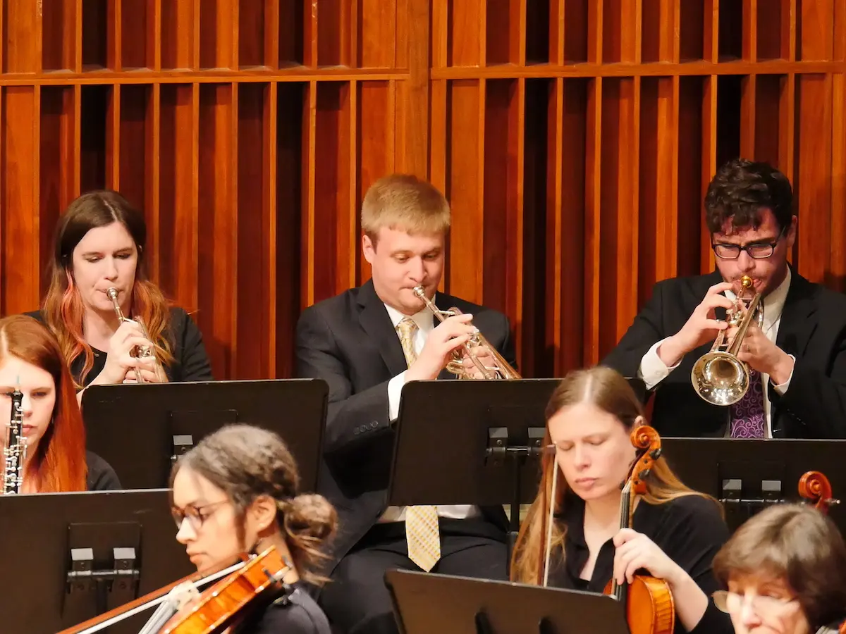 Orchestra musicians play their instruments at a concert