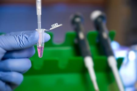 Close-up of gloved hand holding pipet and small tube