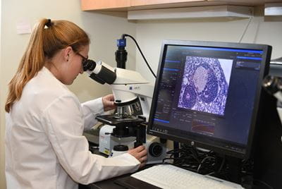 A researcher in the lab of Shannon Hawkins, MD, PhD, which focuses on benign and malignant diseases of the female reproductive tract. A female scientist looks into a microscope with a computer next to her showing the slide image