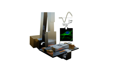 Diagram of the TBI-on-a-chip device