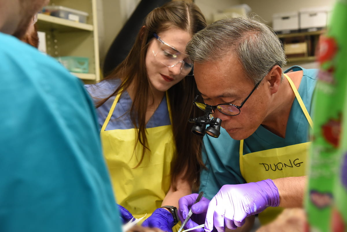Dr. Duong wields anatomy tools as a female medical student watches the procedure.