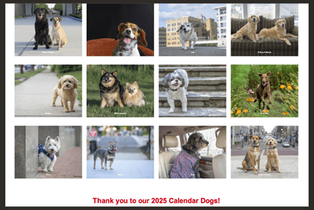 Collage of winners of the 2025 Dogs for Riley Pet Photo Contest
