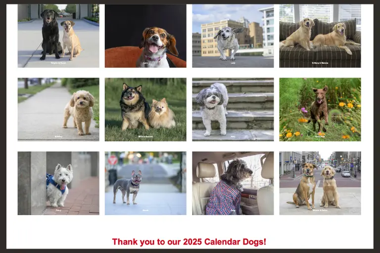Collage of winners of the 2025 Dogs for Riley Pet Photo Contest