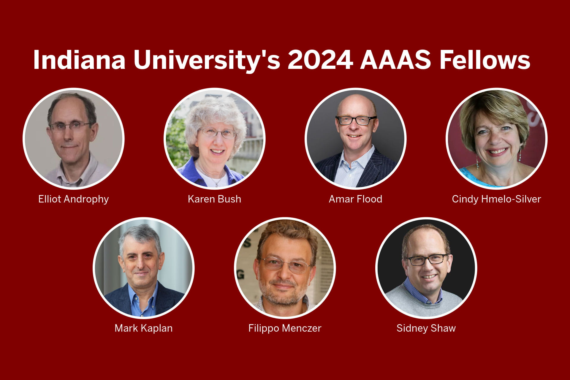 2024 IU AAAS fellows