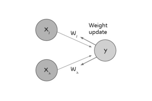 Figure 10. Basic structure and operation principle of the Perceptron.