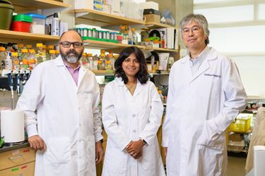 Yoshikazu Imanishi, Padmanabhan Pattabiraman, and Tasneem Sharma stand together in the lab wearing white coats