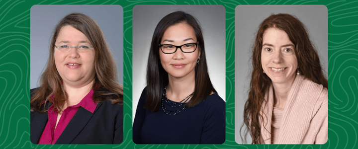 Portraits of LeeAnn Cox, Jennifer Hur, and Amy Munchhof