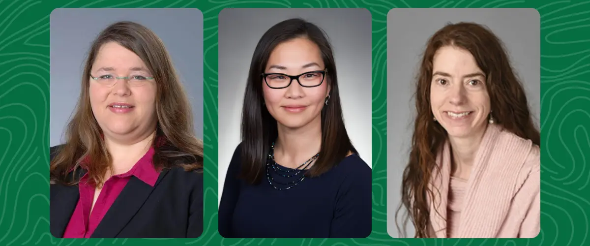 Portraits of LeeAnn Cox, Jennifer Hur, and Amy Munchhof