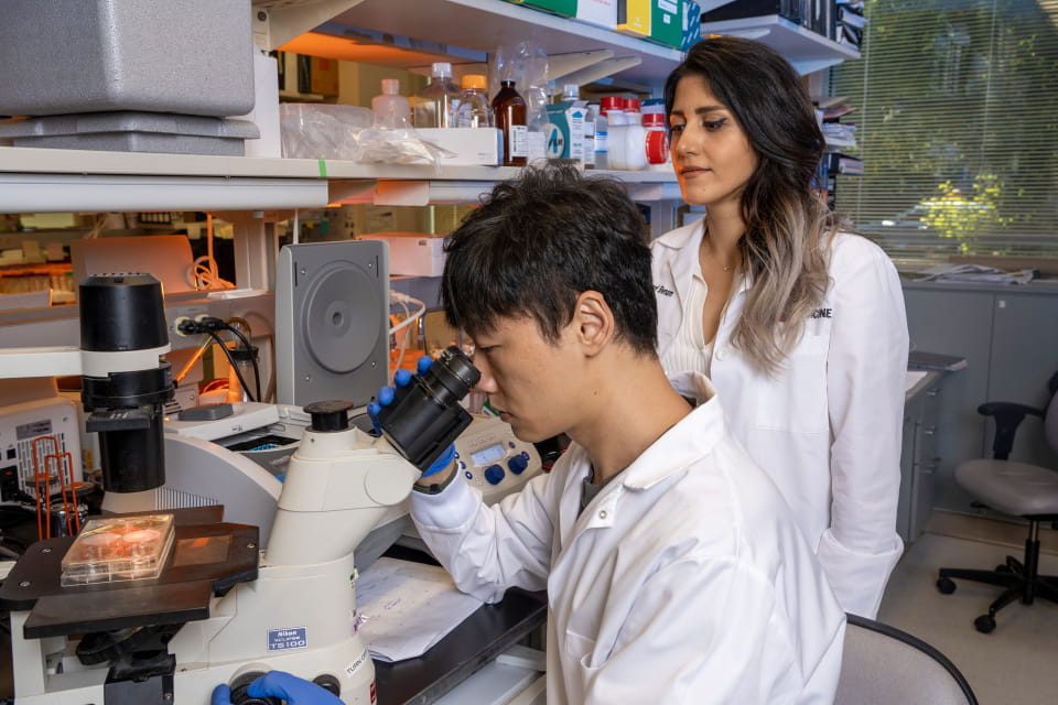 two scientists in lab coats looking in microscope in lab 