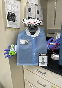 Photo of lab mascot