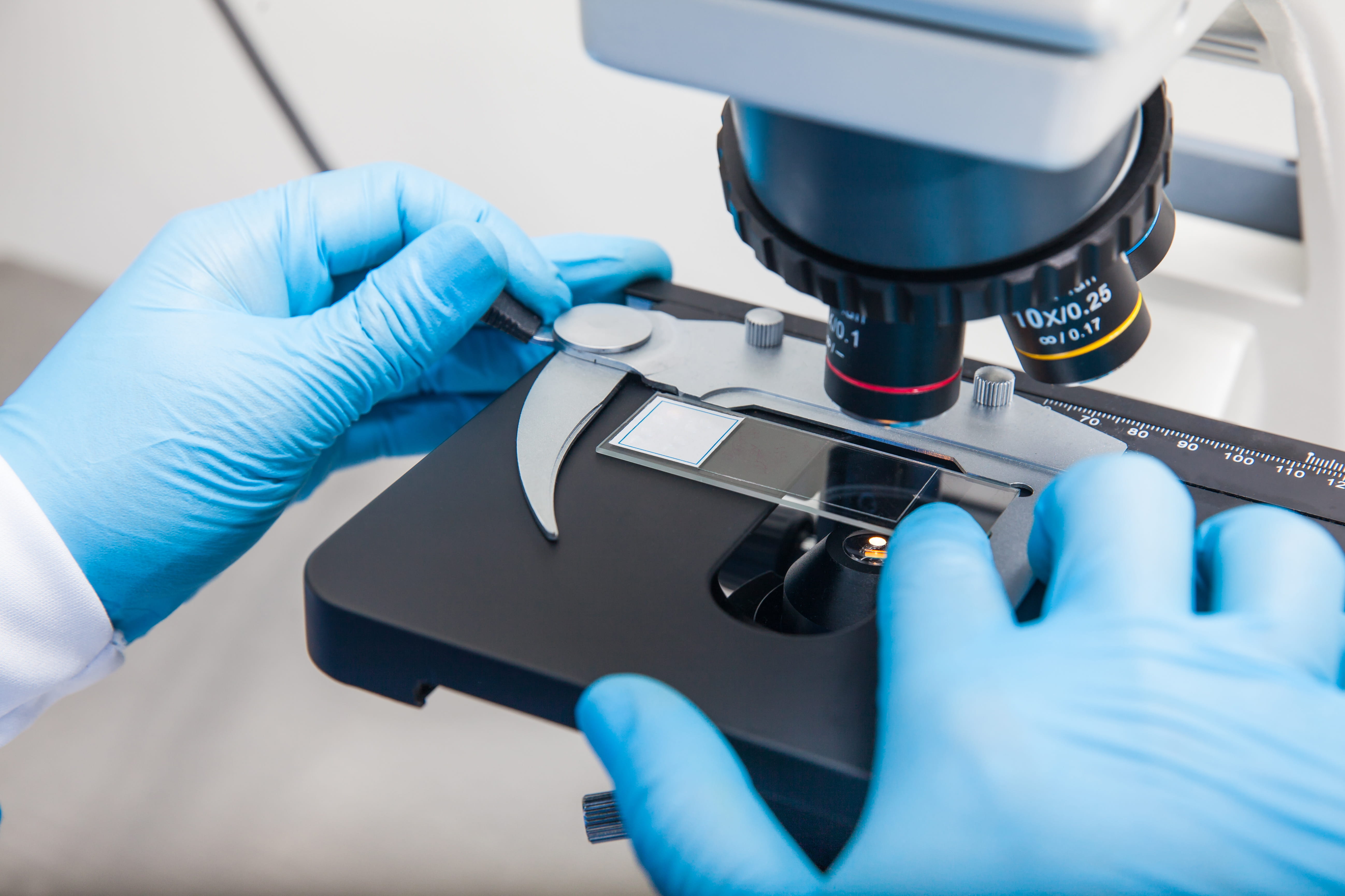 doctor with gloves on and hands on microscope